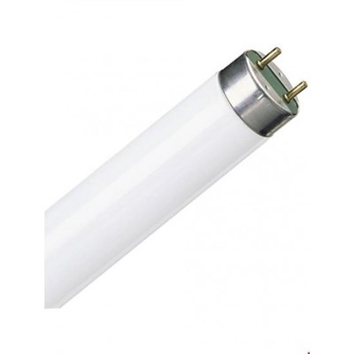 Лампа люминесцентная L 18W/840 LUMILUX 18Вт-T8-4000К-G13-600мм OSRAM 4008321581297 - фото 5089