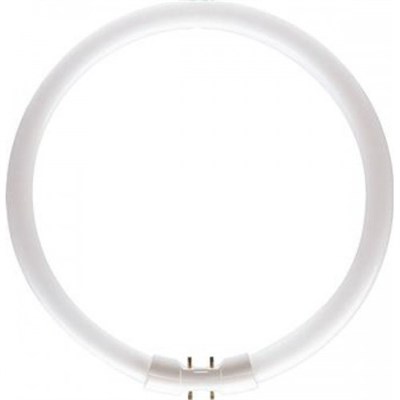 Лампа люминесцентная кольцевая TL5 Circular 60W/840 2GX13, D379mm Philips - фото 5878